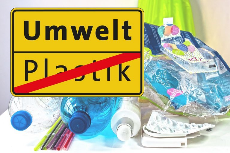 Diskussionsveranstaltung Wie sehr lieben wir Plastik? › Sandra Redmann MdL